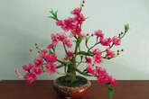 Bày mai, đào giả trang trí tết sao cho hợp phong thủy? Bày mai, đào giả trang trí tết sao cho hợp phong thủy?