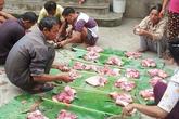 Đặc sắc nét đụng lợn trong ngày Tết ở Tuyên Quang Đặc sắc nét đụng lợn trong ngày Tết ở Tuyên Quang