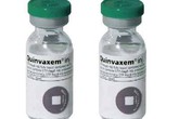 Quảng Ninh: Vắc-xin Quinvaxem chính thức được tiêm trở lại Quảng Ninh: Vắc-xin Quinvaxem chính thức được tiêm trở lại