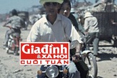 Cuộc đời của tướng cướp được mệnh danh “Bạch Hải Đường xứ Quảng” Cuộc đời của tướng cướp được mệnh danh “Bạch Hải Đường xứ Quảng”
