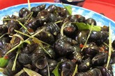 Rủ nhau ăn ốc xào me phố Tôn Thất Tùng Rủ nhau ăn ốc xào me phố Tôn Thất Tùng