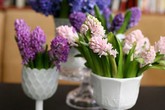 Cắm bình hoa tím lãng mạn chào tuần mới Cắm bình hoa tím lãng mạn chào tuần mới