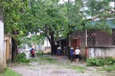 Thanh Hóa: Thiệt hại ban đầu do bão số 6 gây ra ước tính 167 tỷ đồng Thanh Hóa: Thiệt hại ban đầu do bão số 6 gây ra ước tính 167 tỷ đồng