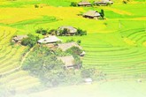 Áo trắng "cắm bản" Áo trắng "cắm bản"