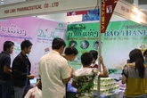 Thuốc ho Bảo Thanh – Từng bước chinh phục thị trường nước bạn Lào Thuốc ho Bảo Thanh – Từng bước chinh phục thị trường nước bạn Lào