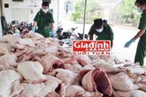 Độc chiêu “phù phép” thịt heo bẩn thành những món “vừa ngon vừa rẻ” Độc chiêu “phù phép” thịt heo bẩn thành những món “vừa ngon vừa rẻ”