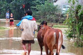 Hương Sơn, Hà Tĩnh: Dân xót xa thu dọn sau lũ dữ Hương Sơn, Hà Tĩnh: Dân xót xa thu dọn sau lũ dữ