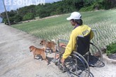 Chuyện hiếm thấy về 2 chú chó kéo xe chở chàng trai bị liệt Chuyện hiếm thấy về 2 chú chó kéo xe chở chàng trai bị liệt