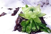 Thần dược phòng the của người “truyền giống thành công nhất địa cầu” Thần dược phòng the của người “truyền giống thành công nhất địa cầu”