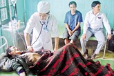 Cha con “người rừng” bối rối trước cuộc sống hiện đại Cha con “người rừng” bối rối trước cuộc sống hiện đại