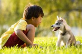 Tổn thương não vì nhiễm ký sinh trùng từ thú nuôi Tổn thương não vì nhiễm ký sinh trùng từ thú nuôi