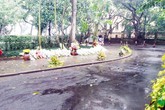 Hoa vẫn xếp tầng trong vườn nhà Đại tướng Hoa vẫn xếp tầng trong vườn nhà Đại tướng