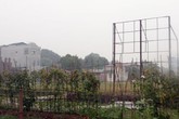 Trường ĐH không trụ sở, không hiệu trưởng: Sinh viên kêu cứu Trường ĐH không trụ sở, không hiệu trưởng: Sinh viên kêu cứu