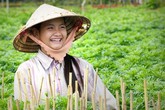 "Thâm cung bí sử" (58-4): Tội nghiệp người phụ nữ chân quê "Thâm cung bí sử" (58-4): Tội nghiệp người phụ nữ chân quê