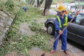 Công ty TNHH MTV Môi trường đô thị Đà Nẵng: Công nhân “tố” lãnh đạo lương cao Công ty TNHH MTV Môi trường đô thị Đà Nẵng: Công nhân “tố” lãnh đạo lương cao