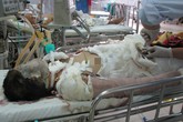 Vụ thiếu nữ bị thiêu sống ở Đà Nẵng: Đám cưới hụt và nỗi đau dang dở Vụ thiếu nữ bị thiêu sống ở Đà Nẵng: Đám cưới hụt và nỗi đau dang dở