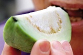 Những lợi ích tuyệt vời khi ăn ổi Những lợi ích tuyệt vời khi ăn ổi