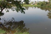 Cả làng hoang mang vì tin đồn thủy quái Cả làng hoang mang vì tin đồn thủy quái