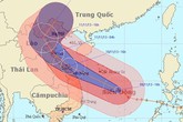 Sở GD Hà Nội, Nam Định gửi công điện khẩn chống bão Haiyan Sở GD Hà Nội, Nam Định gửi công điện khẩn chống bão Haiyan