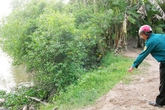 'Nếu mẹ không nóng với sui gia, cả nhà đã không đi tù' 'Nếu mẹ không nóng với sui gia, cả nhà đã không đi tù'
