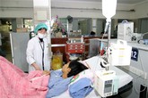 Sốc phản vệ vì ăn... rươi Sốc phản vệ vì ăn... rươi