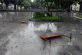 Hà Nội xáo trộn vì bão Haiyan Hà Nội xáo trộn vì bão Haiyan