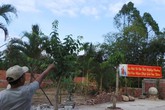 Hàng ngàn người đổ xô đi xem "Phật hiện trên cây sao" Hàng ngàn người đổ xô đi xem "Phật hiện trên cây sao"