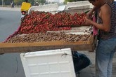 Dâu tây Trung Quốc mác Đà Lạt bán giá "cắt cổ" Dâu tây Trung Quốc mác Đà Lạt bán giá "cắt cổ"