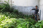 Nghi án bé trai 3 tuổi bị bắt cóc, giết hại dã man ở Sài Gòn Nghi án bé trai 3 tuổi bị bắt cóc, giết hại dã man ở Sài Gòn
