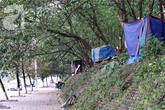 Sốc: Phát hiện 3 hộ gia đình sống trên cây giữa Thủ đô Sốc: Phát hiện 3 hộ gia đình sống trên cây giữa Thủ đô