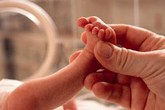 Đắng lòng bé sơ sinh tử vong vì bị bỏ rơi giữa trời lạnh Đắng lòng bé sơ sinh tử vong vì bị bỏ rơi giữa trời lạnh