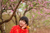 Tết đến sợ gì nhất? Tết đến sợ gì nhất?
