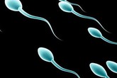 Môi trường sống làm yếu tinh trùng gây vô sinh Môi trường sống làm yếu tinh trùng gây vô sinh