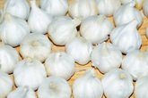 Thuốc trị viêm họng từ nhà bếp Thuốc trị viêm họng từ nhà bếp