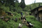 15 năm nuôi con chờ người vợ phụ bạc 15 năm nuôi con chờ người vợ phụ bạc