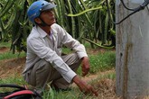 Trụ điện bỗng nhiên biết… “khóc” Trụ điện bỗng nhiên biết… “khóc”