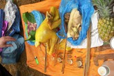 "Ma lực" ám ảnh của "bùa yêu" "Ma lực" ám ảnh của "bùa yêu"