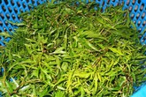 Bổ dưỡng canh đinh lăng nấu sườn non Bổ dưỡng canh đinh lăng nấu sườn non