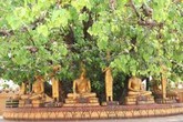 Người đàn bà tủi phận qua hai lần “đò“ vẫn không giấy giá thú Người đàn bà tủi phận qua hai lần “đò“ vẫn không giấy giá thú