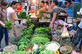 Phát hiện rau ngót, mướp đắng nhiễm thuốc trừ sâu cao Phát hiện rau ngót, mướp đắng nhiễm thuốc trừ sâu cao