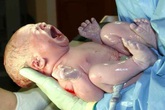 Bí mật về bé sơ sinh khiến mẹ 'té ngửa' Bí mật về bé sơ sinh khiến mẹ 'té ngửa'