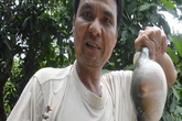 Bắt được cá khủng cắn rách áo, đứt dương vật Bắt được cá khủng cắn rách áo, đứt dương vật