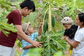 Vợ chồng khắc khẩu Vợ chồng khắc khẩu