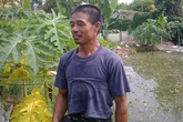 Dân bật khóc vớt hài nhi bị mẹ vất xuống ao cá Dân bật khóc vớt hài nhi bị mẹ vất xuống ao cá