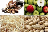Thực phẩm giúp bạn giảm mỡ máu cực tốt Thực phẩm giúp bạn giảm mỡ máu cực tốt