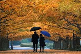 Chuyện mười năm cũ Chuyện mười năm cũ