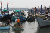 Ngư dân Đà Nẵng chuẩn bị đối phó với cơn bão số 12 Ngư dân Đà Nẵng chuẩn bị đối phó với cơn bão số 12