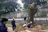 Thêm 8 doanh nghiệp công ích rút lương người lao động để trả cho sếp Thêm 8 doanh nghiệp công ích rút lương người lao động để trả cho sếp