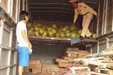 Quảng Bình: Liên tục bắt gỗ lậu trên QL1A Quảng Bình: Liên tục bắt gỗ lậu trên QL1A