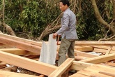 Cao Quảng tan hoang sau bão Cao Quảng tan hoang sau bão